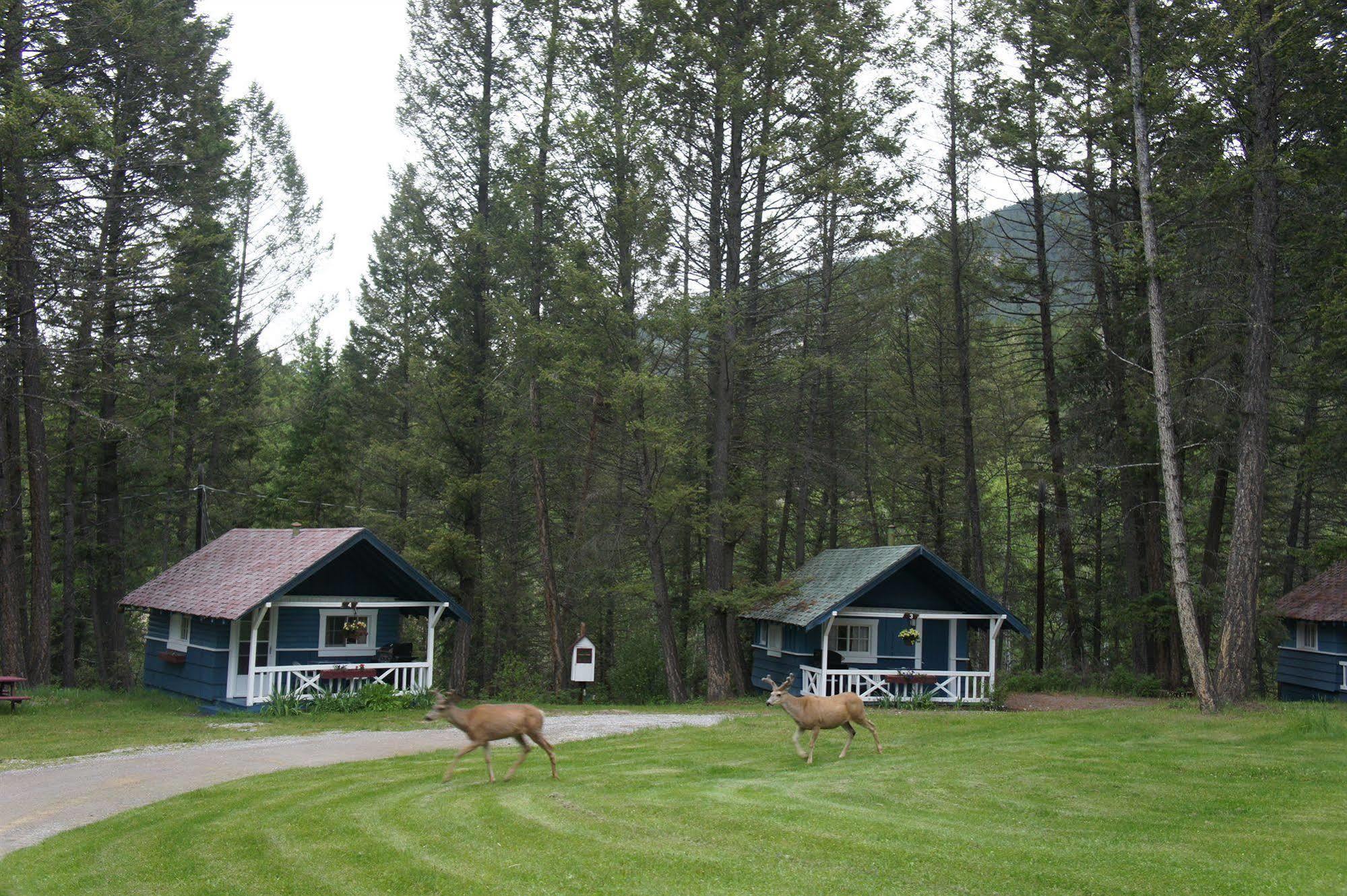Fairmont Mountain Bungalows Fairmont Hot Springs Eksteriør billede